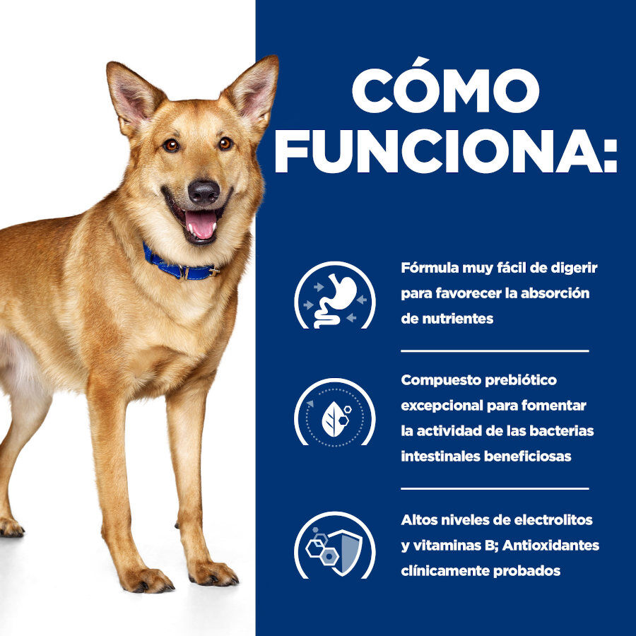 360 g Hill's Prescription Diet Digestive Care i/d Ternera lata para perros, , large Imagen numero 3